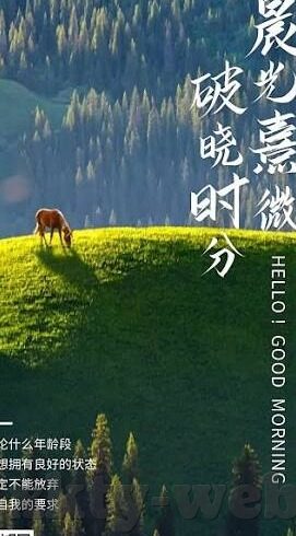 足球角球半场比分-深度解析，足球角球与半场比分背后的战术博弈与数据密码