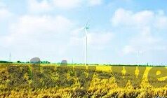 .足球完场比分-足球完场比分，赛场风云的最终定格与深远回响